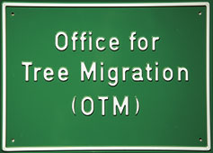 OTM - Offfice for Tree Migration Hut at the forest station in Hyytiälä, FI